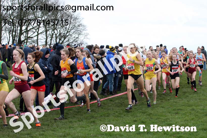 Intermediate girls 2019 New Balance English Schools Cross Country Champs, Temple Newsam, Leeds. Photo:  David T. Hewitson/Sports for All Pics